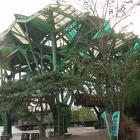 丟丟当森林の写真・動画_image_977684