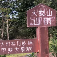 天女山の写真・動画_image_979742