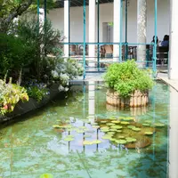 大塚国際美術館の写真・動画_image_980132