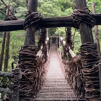 祖谷のかずら橋の写真・動画_image_981645