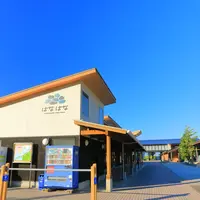 三崎港の写真・動画_image_983067