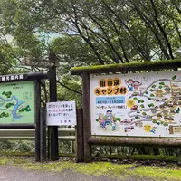 祖谷渓キャンプ村の写真・動画_image_983212