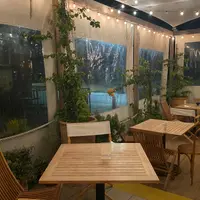 フィグ ツリーの写真・動画_image_984923