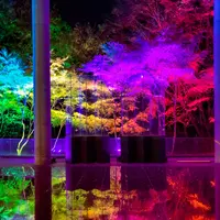 宮城県図書館の写真・動画_image_985340