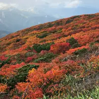 いわかがみ平の写真・動画_image_985351