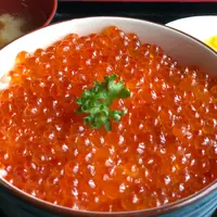 漁師直営食堂 中村屋の写真・動画_image_985497