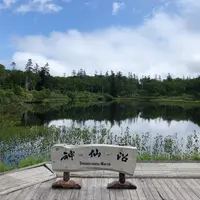 神仙沼の写真・動画_image_985829