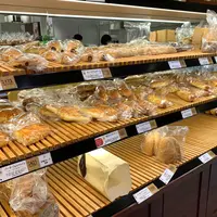 赤トンボ 日本橋高島屋店の写真・動画_image_986330