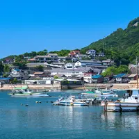 家浦港の写真・動画_image_987441