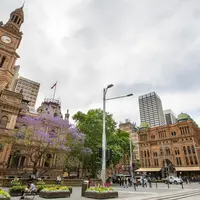 Town hallの写真・動画_image_987651
