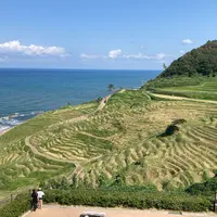 道の駅 千枚田ポケットパークの写真・動画_image_988711