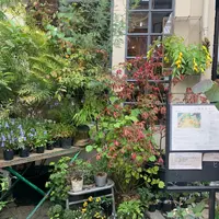 ヒトクサカタチ製作所の写真・動画_image_989313