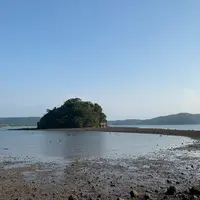 小島神社の写真・動画_image_992128