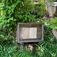 喫茶ミンカの写真・動画_image_994739