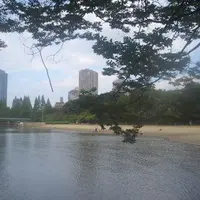 大阪ふれあいの水辺の写真・動画_image_997558