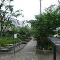 楠根川跡緑陰歩道の写真・動画_image_997569