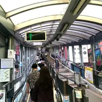 中環至半山自動扶梯の写真・動画_image_998095