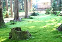 平泉寺白山神社の写真・動画_image_291526