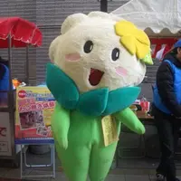 平野区の写真・動画_image_134888
