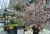 TENOHA & STYLE STORE (テノハ代官山)の写真・動画_image_25927