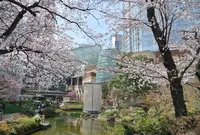 六本木ヒルズの写真・動画_image_26426