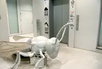 ローズベーカリー銀座の写真・動画_image_29527