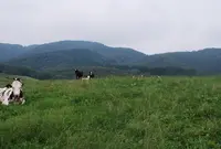 俵原の写真・動画_image_35494