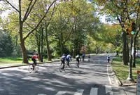 セントラルパークの写真・動画_image_50190