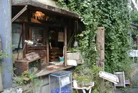 ムギマル2（mugimaru2）の写真・動画_image_124100