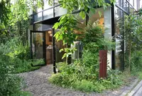 かぐれ 表参道店の写真・動画_image_137339