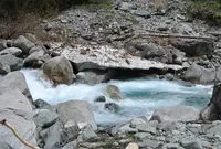 上高地梓川の清流の写真・動画_image_137742