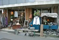 ピボワンヌ （pivoine） の写真・動画_image_187561