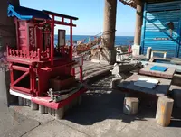 タツノオトシゴハウスの写真・動画_image_413890