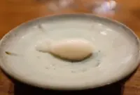 虎峰の写真・動画_image_96748