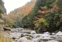 芦生ロードパーク・唐戸渓谷の写真・動画_image_1009321