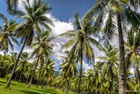 タラ ビーチ ネイチャー リザーブの写真・動画_image_1145952