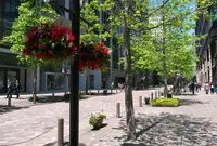丸の内の写真・動画_image_171108