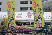 福岡市の写真・動画_image_203785