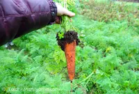 くりもと地球村の写真・動画_image_17578