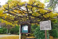 伊東温泉七福神巡り【福禄寿】の写真・動画_image_17755