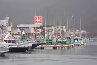 歴史の街下田へ行ってみたの写真・動画_image_17907