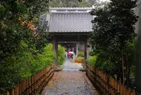 了仙寺の写真・動画_image_17914
