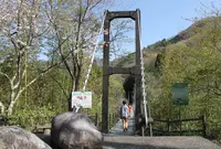 物産品久保つり橋直売所の写真・動画_image_18709