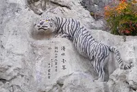 明星輪寺の写真・動画_image_20439
