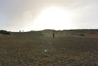 中田島砂丘の写真・動画_image_20736