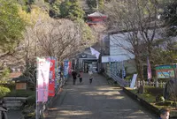 そのまま岐阜公園に進みますの写真・動画_image_20883