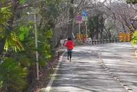 金華山ドライブコースを歩くの写真・動画_image_20912