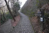粕森公園の写真・動画_image_20914