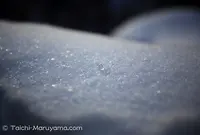 乗鞍高原の写真・動画_image_20940