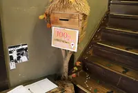 鬼太郎茶屋の写真・動画_image_21229